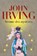 Avenue des mystères, IRVING,  John - Paperback - 9782757866221