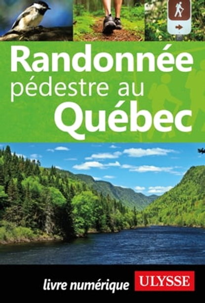Randonnée pédestre au Québec, Yves Séguin - Ebook - 9782765817789