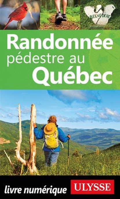 Randonnée pédestre au Québec, Yves Séguin - Ebook - 9782765877486
