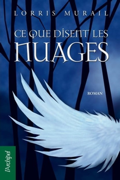 Ce que disent les nuages, Lorris Murail - Ebook - 9782809809510
