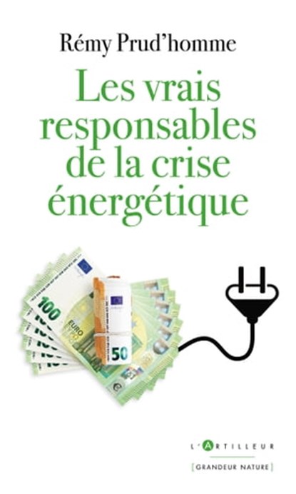 Les vrais responsables de la crise énergétique, Rémy Prud'homme - Ebook - 9782810011612