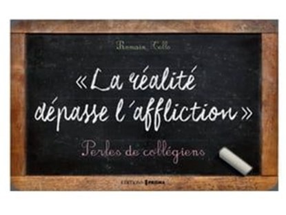 La réalité dépasse l'affliction, Romain Tello - Ebook - 9782810415632
