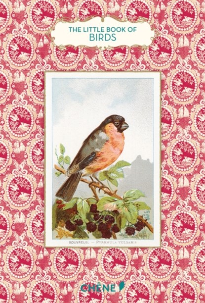 Little book of birds, anne jankeliowitch - Overig Gebonden - 9782812316364
