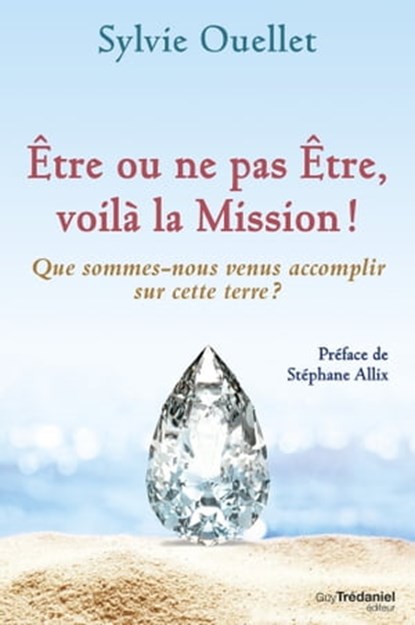 Être ou ne pas être, voilà la mission ! - Que sommes-nous venus accomplir sur cette terre ?, Sylvie Ouellet ; Stéphane Allix - Ebook - 9782813217059