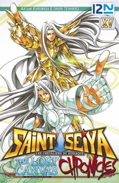 Saint Seiya - Les Chevaliers du Zodiaque - The Lost Canvas - La Légende d'Hadès - Chronicles - tome 15, Masami Kurumada ; Shiori Teshirogi - Ebook - 9782823859904