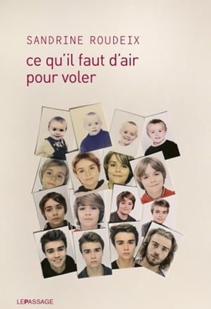 Ce qu'il faut d'air pour voler, Sandrine Roudeix - Ebook - 9782847424560