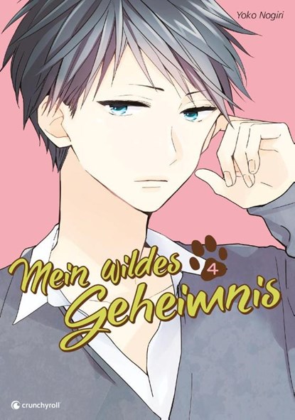 Mein wildes Geheimnis 04, Yoko Nogiri - Paperback - 9782889212040