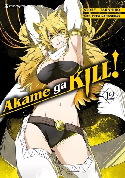 Akame ga KILL! 12, Takahiro ; Tetsuya Tashiro - Paperback - 9782889217502