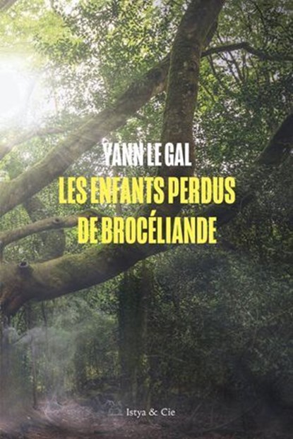 Les enfants perdus de Brocéliande, Yann Le Gal - Ebook - 9782889442454