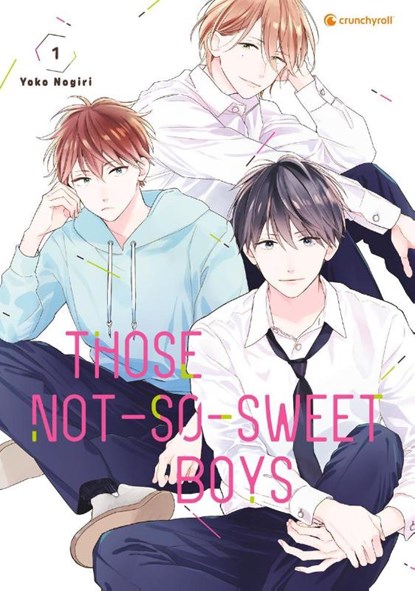 Those Not-So-Sweet Boys - Band 1, Yoko Nogiri - Paperback - 9782889517657