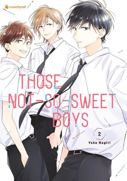 Those Not-So-Sweet Boys - Band 2, Yoko Nogiri - Paperback - 9782889517664