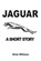 Jaguar: A Short Story, Brian Williams - Paperback - 9782917260272
