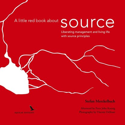A little red book about source, Stefan Merckelbach - Paperback - 9782940678006