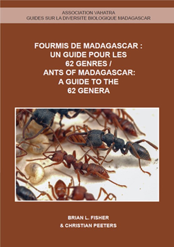 Ants of Madagascar - A Guide to the 62 Genera