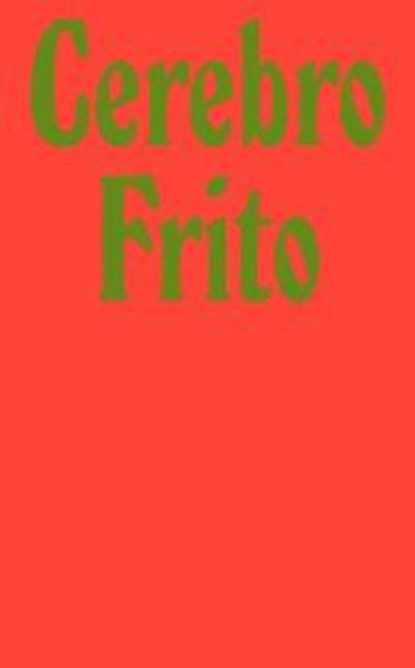 Cerebro Frito, Lukas Kubina - Paperback - 9783000593604