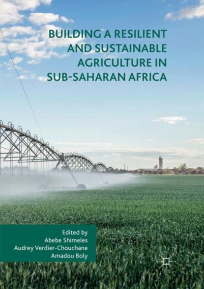 Building a Resilient and Sustainable Agriculture in Sub-Saharan Africa, Abebe Shimeles ; Audrey Verdier-Chouchane ; Amadou Boly - Paperback - 9783030094331