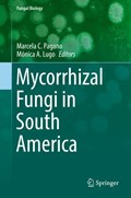 Mycorrhizal Fungi in South America | Marcela C. Pagano ; Monica A. Lugo | 