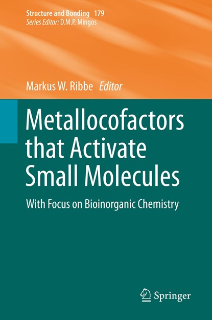 Metallocofactors that Activate Small Molecules, Markus W. Ribbe - Gebonden - 9783030258962
