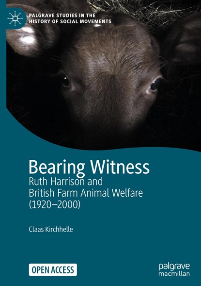 Bearing Witness, Claas Kirchhelle - Gebonden - 9783030627911