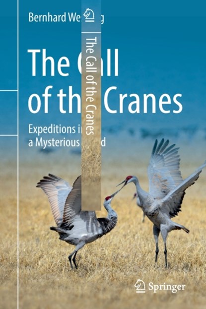 The Call of the Cranes, Bernhard Wessling - Paperback - 9783030982829