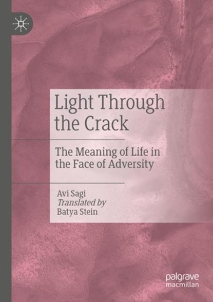 Light Through the Crack, Avi Sagi - Paperback - 9783031273933