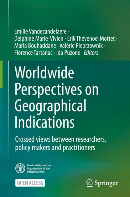 Worldwide Perspectives on Geographical Indications, Emilie Vandecandelaere ; Delphine Marie-Vivien ; Erik Thevenod-Mottet - Gebonden - 9783031716409