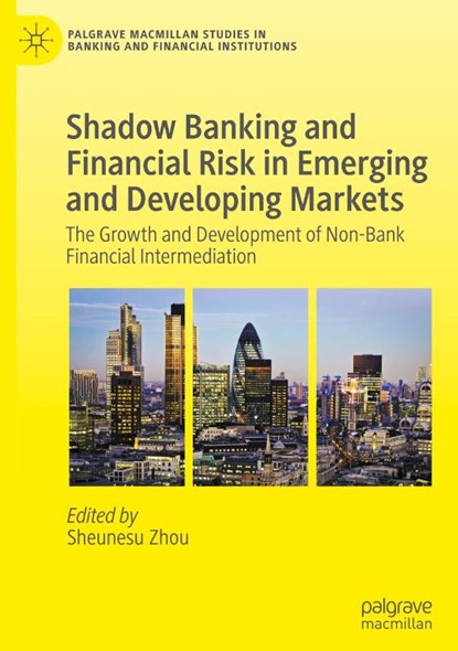 Shadow Banking and Financial Risk in Emerging and Developing Markets, Sheunesu Zhou - Gebonden - 9783031862236