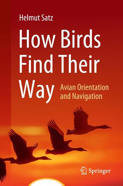 How Birds Find Their Way, Helmut Satz - Paperback - 9783031921803