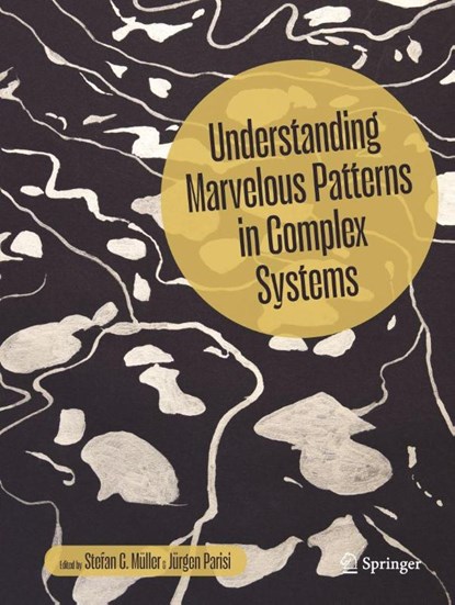 Understanding Marvelous Patterns in Complex Systems, Stefan C. Muller ; Jurgen Parisi - Gebonden - 9783032087522