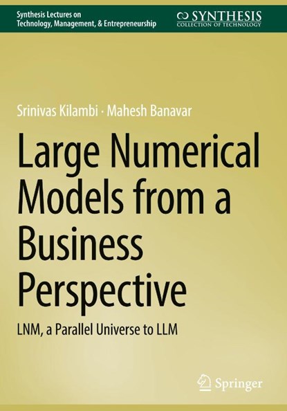 Large Numerical Models from a Business Perspective, Srinivas Kilambi ; Mahesh Banavar - Gebonden - 9783032148681