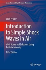 Introduction to Simple Shock Waves in Air - Sean Prunty - 9783032259400