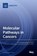 Molecular Pathways in Cancers, Ion Cristóbal - Gebonden - 9783036536828