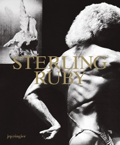 Sterling Ruby, HOBBS,  Robert ; Heiser, Jorg ; Taft, Catherine - Paperback - 9783037643754