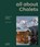 all about CHALETS, Sibylle Kramer Kramer - Gebonden - 9783037682807