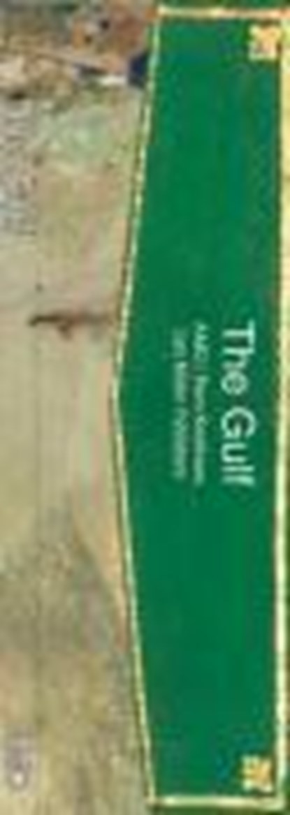 The Gulf, KOHLHAAS,  Rem - Gebonden - 9783037780886