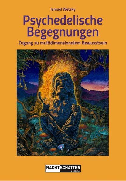 Psychedelische Begegnungen, Ismael Wetzky - Paperback - 9783037886946