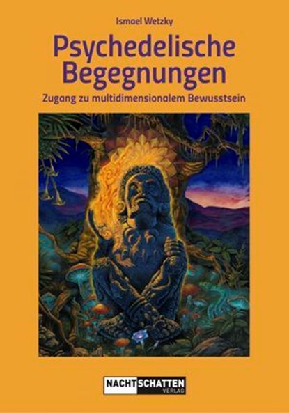 Psychedelische Begegnungen, Ismael Wetzky - Ebook - 9783037887073
