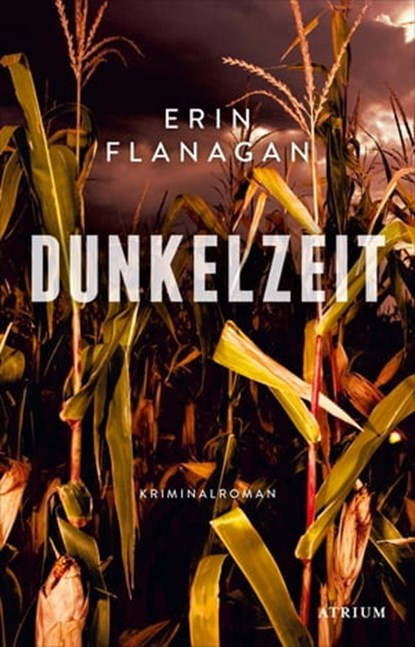 Dunkelzeit, Erin Flanagan - Ebook - 9783037922255