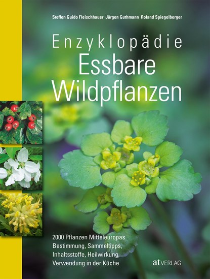 Enzyklopädie Essbare Wildpflanzen, Steffen Guido Fleischhauer ;  Roland Spiegelberger ;  Jürgen Guthmann - Gebonden - 9783038007524