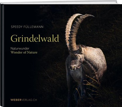 Grindelwald, Speedy Füllemann - Gebonden - 9783038184874