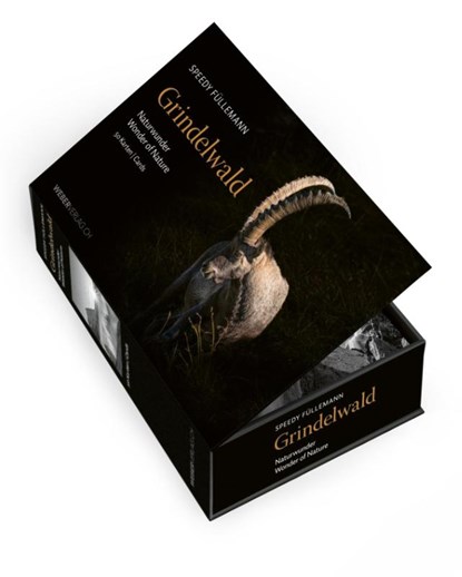 Postkartenbox Grindelwald, Speedy Füllemann - Losbladig - 9783038186182