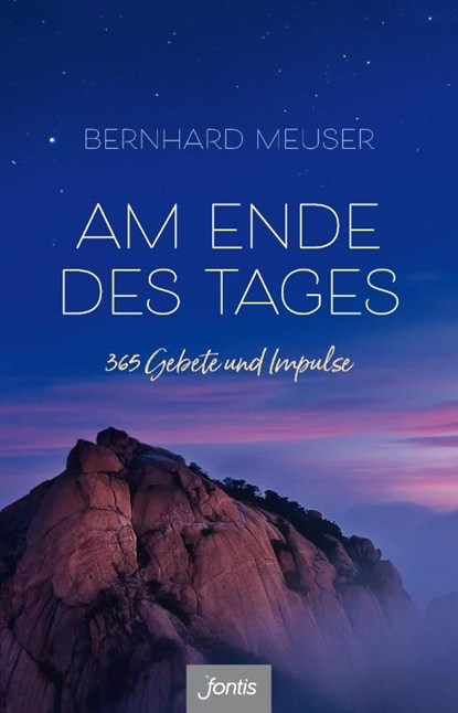Am Ende des Tages, Bernhard Meuser - Gebonden - 9783038481294