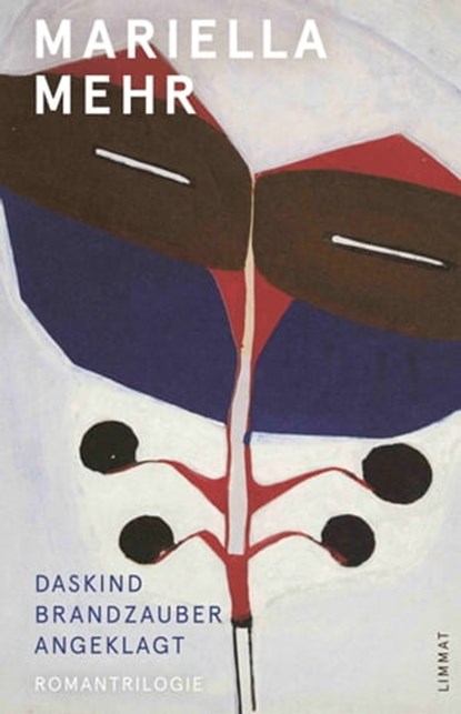 Daskind - Brandzauber - Angeklagt, Mariella Mehr - Ebook - 9783038551287