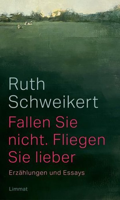Fallen Sie nicht. Fliegen Sie lieber, Ruth Schweikert ; Adolf Muschg ; Katharina Hacker ; Noemi Lerch - Ebook - 9783038552949