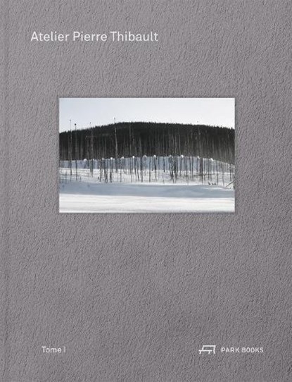 Assemblage, Pierre Thibault - Paperback - 9783038604877