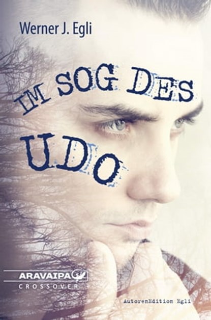 Im Sog des Udo, Werner J. Egli - Ebook - 9783038642312