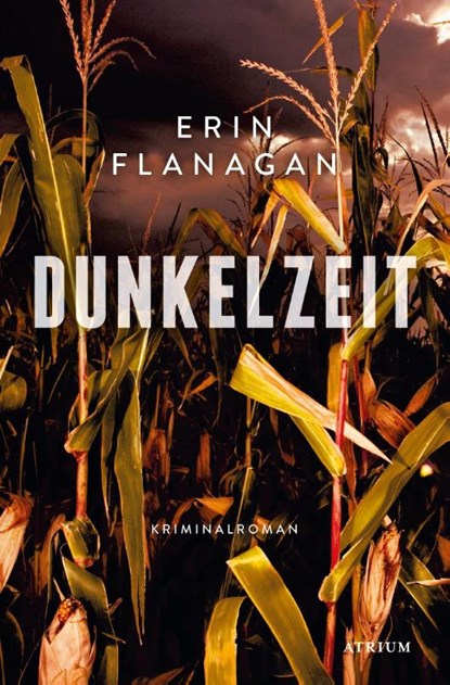 Dunkelzeit, Erin Flanagan - Paperback - 9783038820420