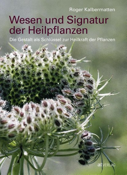 Wesen und Signatur der Heilpflanzen, Roger Kalbermatten - Gebonden - 9783039020461