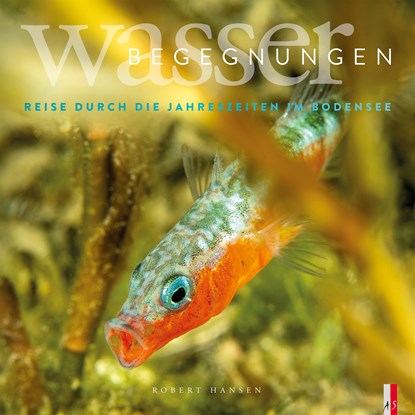 Wasser Begegnungen, Robert Hansen - Gebonden - 9783039130221