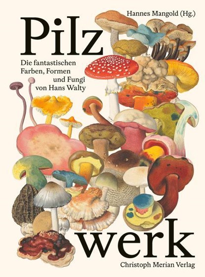 Pilzwerk, Hannes Mangold - Gebonden - 9783039690497